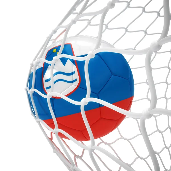 Slovenian soccer ball inside the net — Stock Photo, Image
