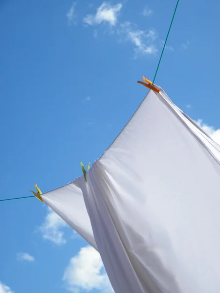 Drying sheet — Stok fotoğraf