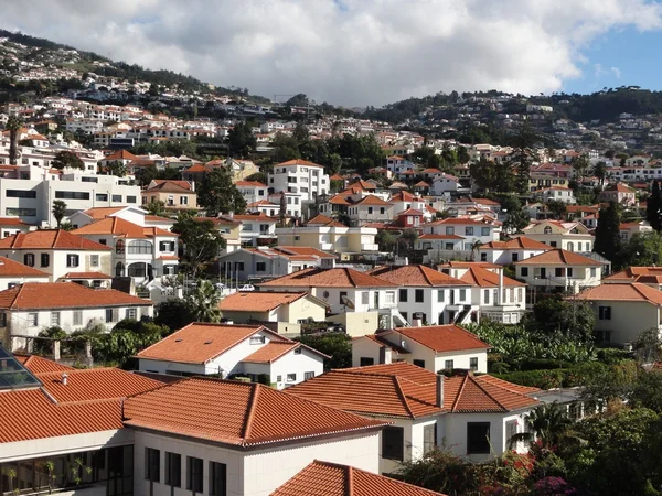 stock image Madeira scene