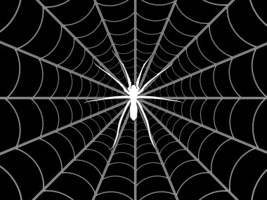 Spider and web clipart