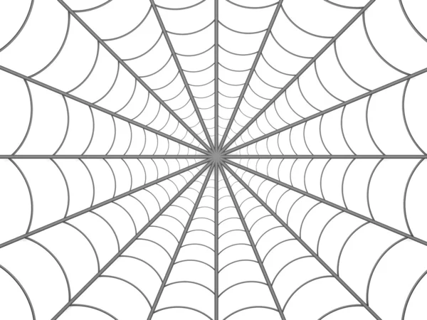Spindlar web — Stockfoto