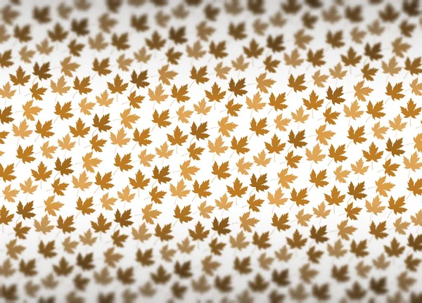 Maple leaf achtergrond — Stockfoto