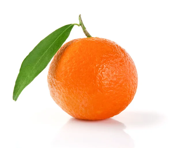 柑橙 — 图库照片