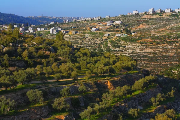 Wadi el-Jundi Jerusalemia silmällä pitäen — kuvapankkivalokuva