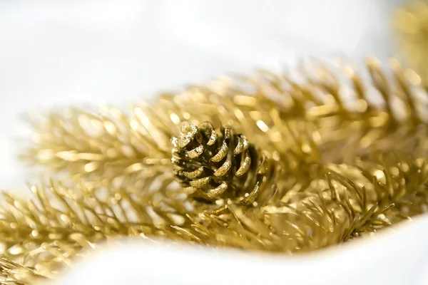 Gouden pinecone — Stockfoto