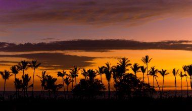 Hawaiian sunset with palms siluette clipart