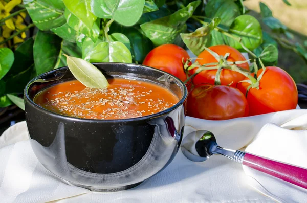 Sopa de tomate afuera —  Fotos de Stock