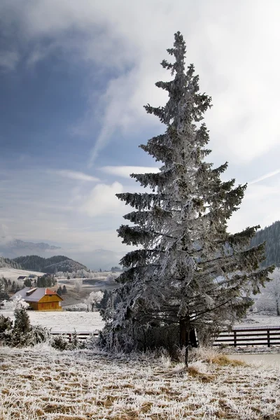 Krajobraz zimy ze śniegiem gór Karpat — Zdjęcie stockowe