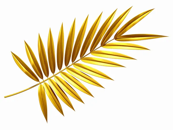 stock image Palm frond