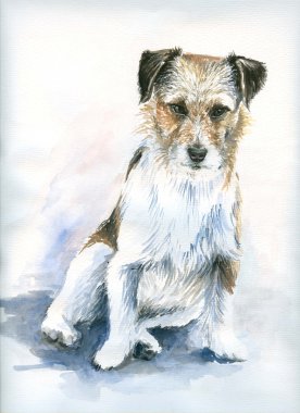 Küçük Köpek