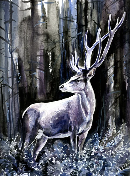 Deer buck — Stock Photo, Image