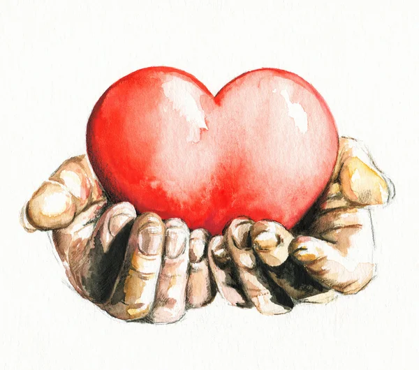 Mani che tengono il cuore. — Foto Stock