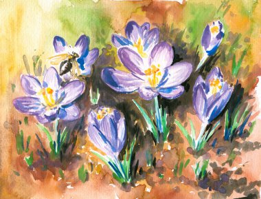 Crocuses clipart