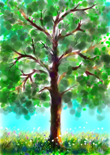 Yazın Ağaç — Stok fotoğraf