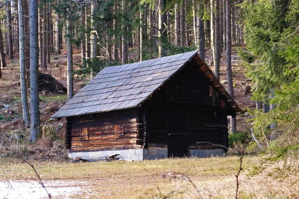 Drewniany dom — Zdjęcie stockowe