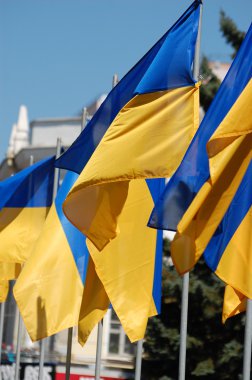 Государственные флаги Украины