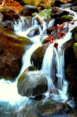 Водопад в Карпатах