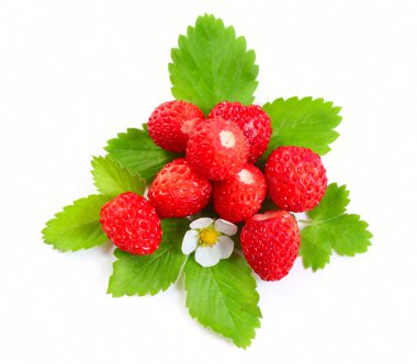 Berry clipart