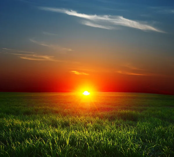 Pôr do sol sobre o campo — Fotografia de Stock