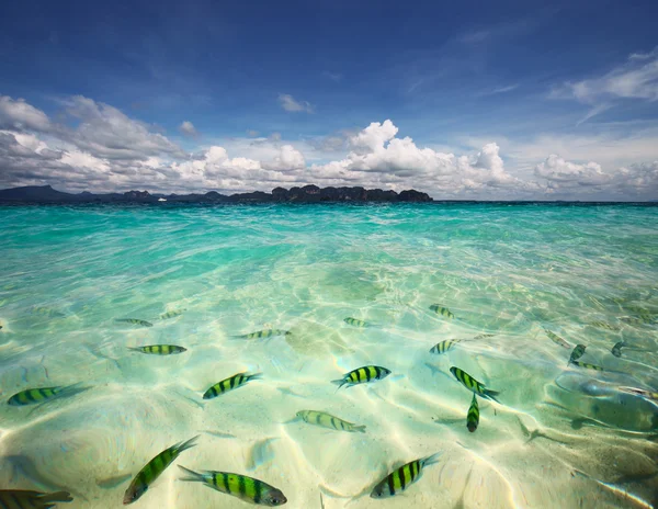 투명 한 바다 물 — 스톡 사진