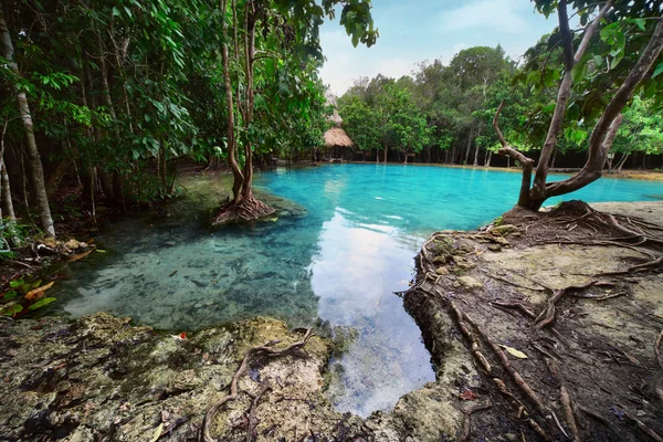 Lagoa — Fotografia de Stock