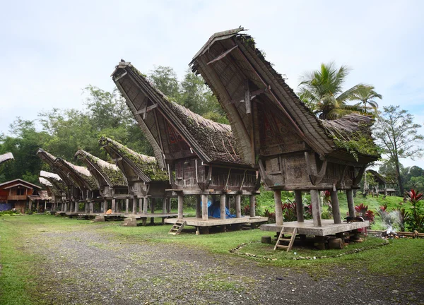 Toraja —  Fotos de Stock