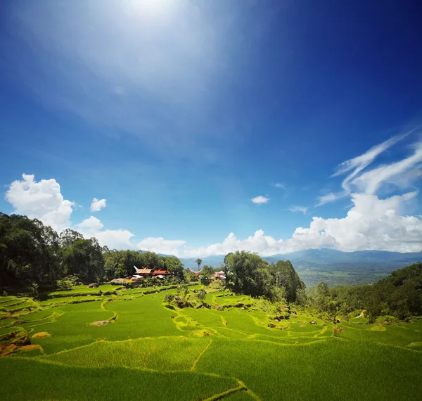 Toraja — Foto de Stock