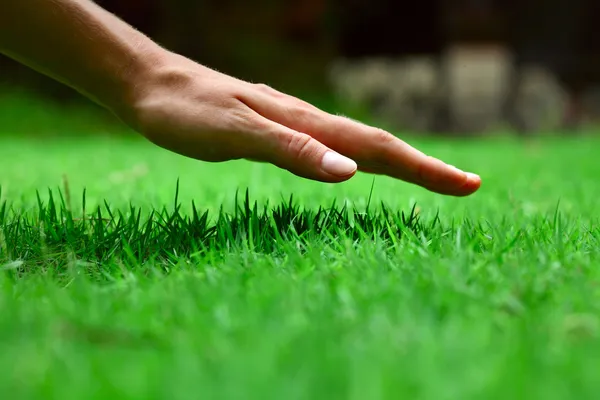 Hand — Stock Photo, Image