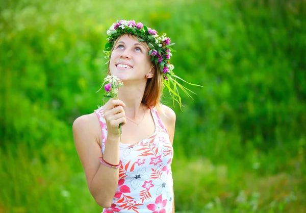 Clover — Stock Photo, Image