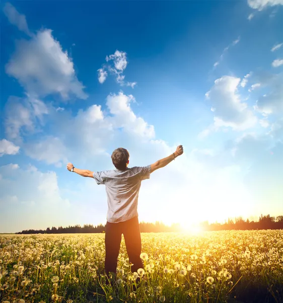 On field — Stock Photo, Image