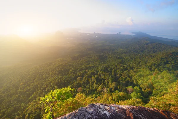 stock image Sunrise