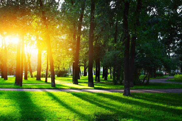 Park