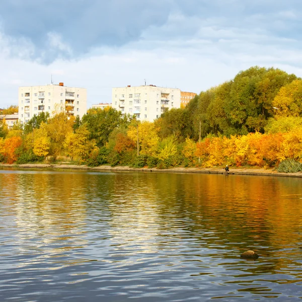 stock image Pond