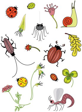 Insects clipart