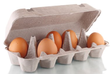 Eggs clipart