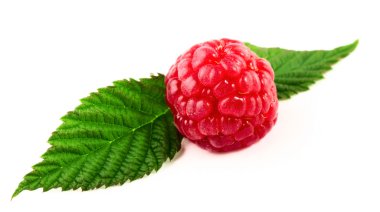 Raspberry clipart