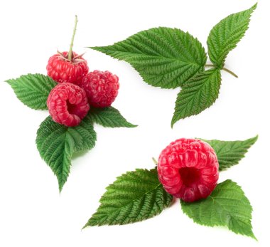 Raspberry clipart