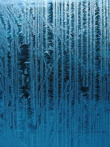 樹氷 — ストック写真