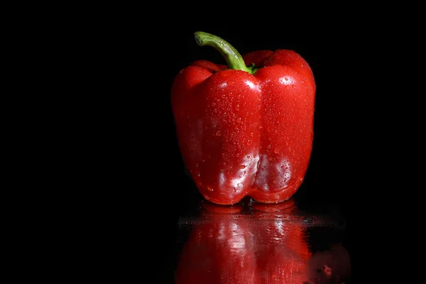 Röd paprika på svart bakgrund — Stockfoto