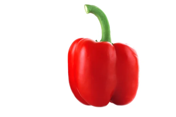 Pepper — Stock Photo, Image