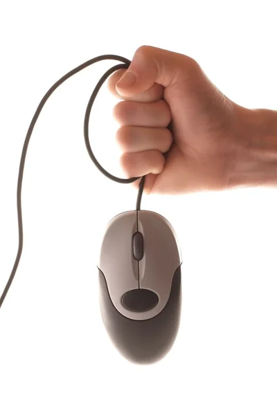 stock image Mouse