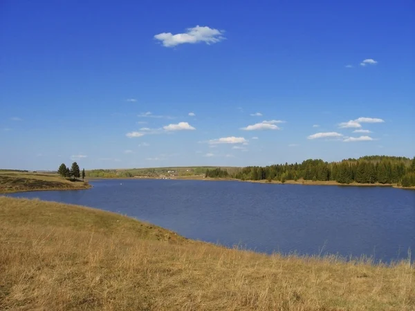 stock image Pond