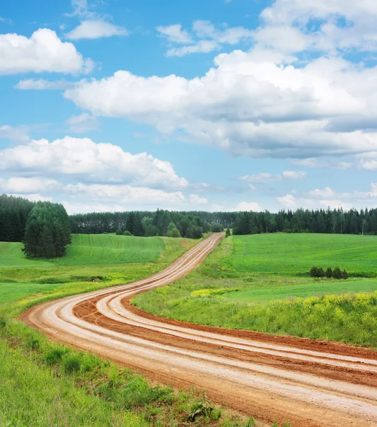 stock image Road