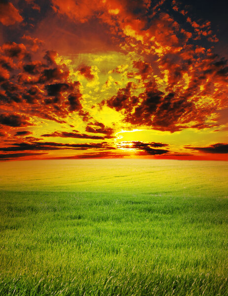 Red sunset over green field