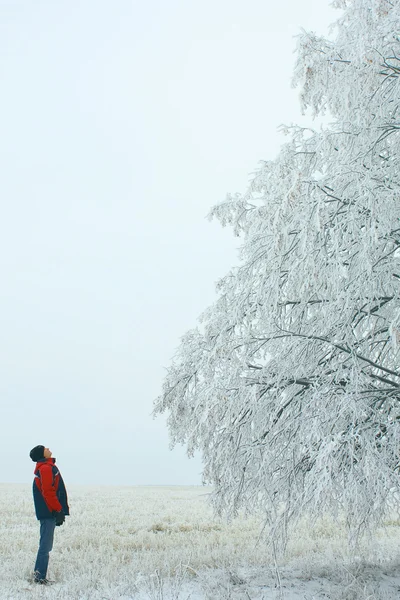 Человек и дерево — стоковое фото