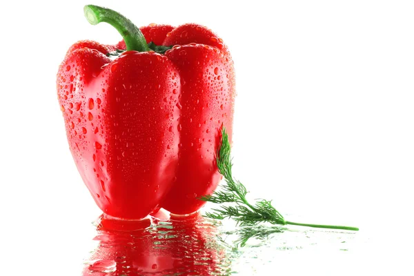 Röd paprika med dill — Stockfoto