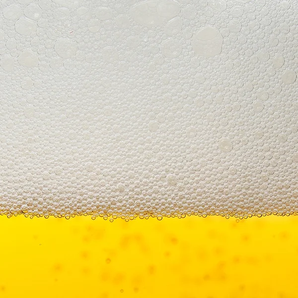 Пиво — стокове фото