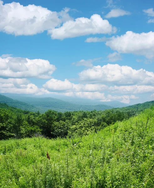 Verde hierba montañas y cielo azul con nubes —  Fotos de Stock