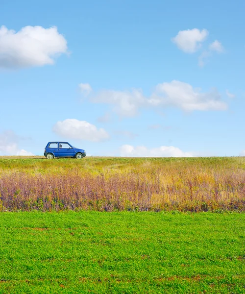 stock image Little car