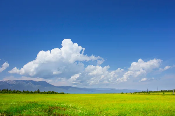 Meadow and hills — Stock Photo, Image